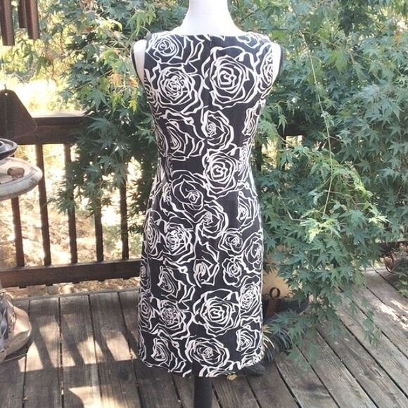 HOST PICK! 🌷Brooks Brothers Cotton Sheath Dress. 💐🌸🌹🥀🌺🌼🌷🪻⚘️ - Picture 5 of 11